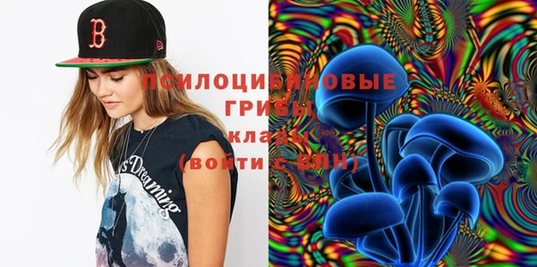 кокс Ростов